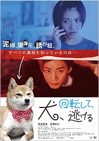 犬、回転して、逃げる